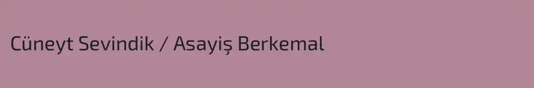 Cüneyt Sevindik / Asayiş Berkemal